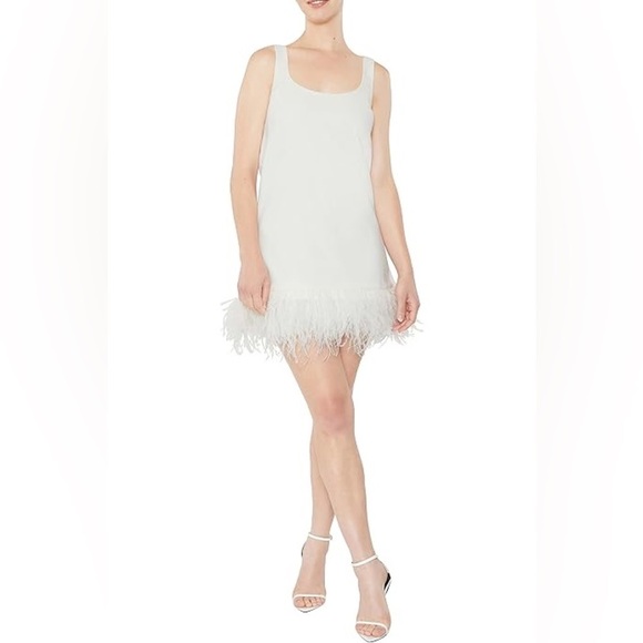 Elegant White Dress with Feather Hem - Picture 1 of 11